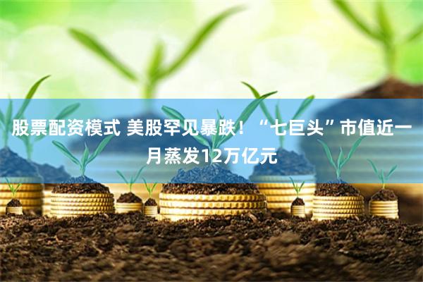 股票配资模式 美股罕见暴跌！“七巨头”市值近一月蒸发12万亿元