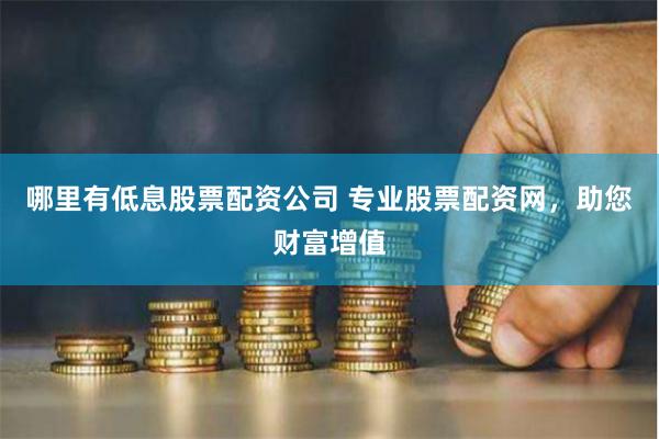 哪里有低息股票配资公司 专业股票配资网，助您财富增值