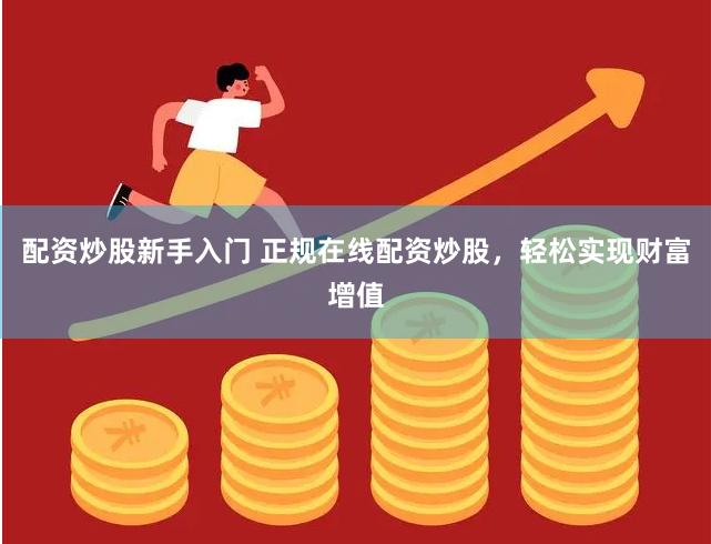 配资炒股新手入门 正规在线配资炒股，轻松实现财富增值