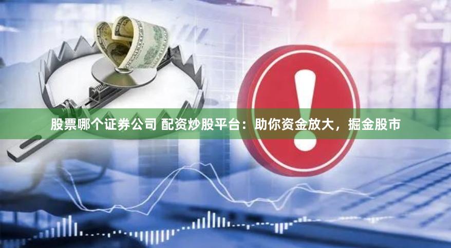 股票哪个证券公司 配资炒股平台：助你资金放大，掘金股市
